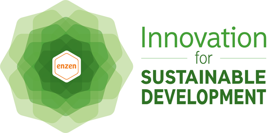 Innovation for Sustainable Development logo